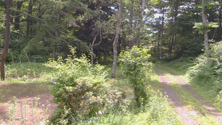 長野県菅平高原 ゆたか山荘 坂上 2026/07/11 09:45