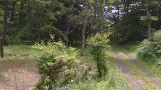 長野県菅平高原 ゆたか山荘 坂上 2026/07/11 10:00