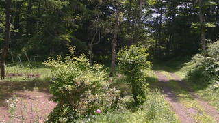 長野県菅平高原 ゆたか山荘 坂上 2026/07/11 10:15