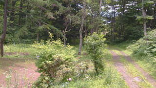 長野県菅平高原 ゆたか山荘 坂上 2026/07/11 10:45