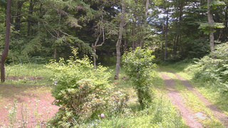 長野県菅平高原 ゆたか山荘 坂上 2026/07/11 11:00