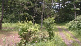 長野県菅平高原 ゆたか山荘 坂上 2026/07/11 11:15