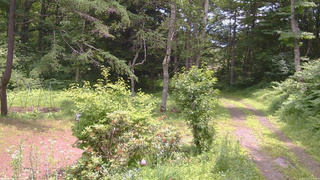 長野県菅平高原 ゆたか山荘 坂上 2026/07/11 11:45