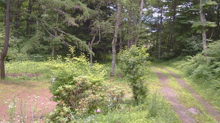 長野県菅平高原 ゆたか山荘 坂上 2026/07/11 12:00