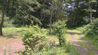 長野県菅平高原 ゆたか山荘 坂上 2026/07/11 12:15