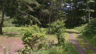 長野県菅平高原 ゆたか山荘 坂上 2026/07/11 12:30