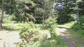 長野県菅平高原 ゆたか山荘 坂上 2026/07/11 13:00