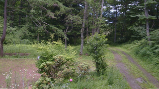 長野県菅平高原 ゆたか山荘 坂上 2026/07/11 13:15