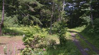 長野県菅平高原 ゆたか山荘 坂上 2026/07/11 13:30