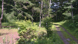 長野県菅平高原 ゆたか山荘 坂上 2026/07/11 14:00