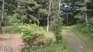 長野県菅平高原 ゆたか山荘 坂上 2026/07/11 14:15