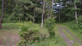 長野県菅平高原 ゆたか山荘 坂上 2026/07/11 14:45