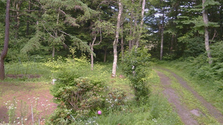 長野県菅平高原 ゆたか山荘 坂上 2026/07/11 15:00