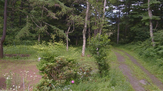 長野県菅平高原 ゆたか山荘 坂上 2026/07/11 15:15