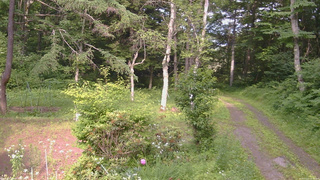 長野県菅平高原 ゆたか山荘 坂上 2026/07/11 15:30