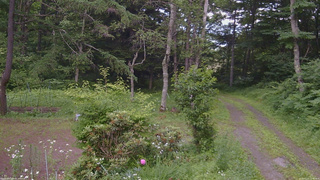 長野県菅平高原 ゆたか山荘 坂上 2026/07/11 15:45