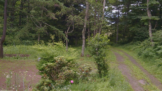 長野県菅平高原 ゆたか山荘 坂上 2026/07/11 16:15
