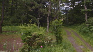 長野県菅平高原 ゆたか山荘 坂上 2026/07/11 16:30