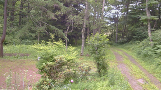 長野県菅平高原 ゆたか山荘 坂上 2026/07/11 17:15