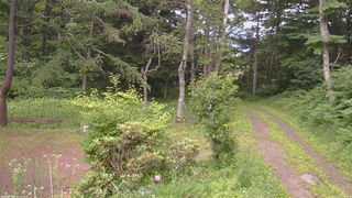 長野県菅平高原 ゆたか山荘 坂上 2026/07/11 17:30