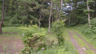 長野県菅平高原 ゆたか山荘 坂上 2026/07/11 17:45