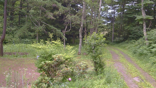 長野県菅平高原 ゆたか山荘 坂上 2026/07/11 18:00