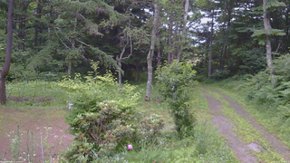 長野県菅平高原 ゆたか山荘 坂上 2026/07/11 18:30