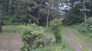 長野県菅平高原 ゆたか山荘 坂上 2026/07/11 18:45
