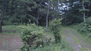 長野県菅平高原 ゆたか山荘 坂上 2026/07/11 19:00