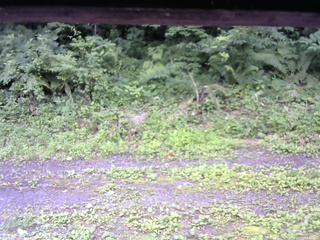 長野県菅平高原 ゆたか山荘 東側(坂下) 2026/07/12 07:45