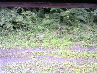 長野県菅平高原 ゆたか山荘 東側(坂下) 2026/07/12 12:45