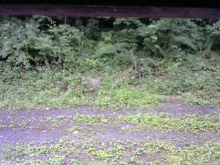 長野県菅平高原 ゆたか山荘 東側(坂下) 2026/07/12 13:15