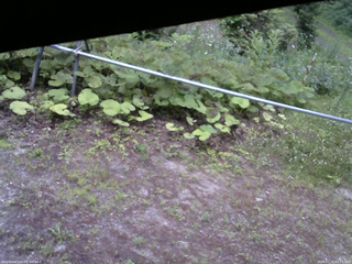 長野県菅平高原 ゆたか山荘 駐車場 2026/07/12 05:15