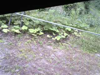 長野県菅平高原 ゆたか山荘 駐車場 2026/07/12 06:45