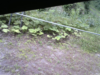 長野県菅平高原 ゆたか山荘 駐車場 2026/07/12 07:15