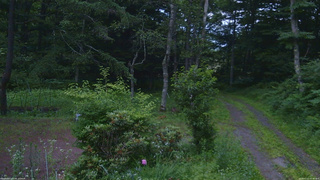 長野県菅平高原 ゆたか山荘 坂上 2026/07/12 05:00