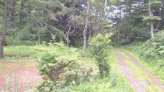長野県菅平高原 ゆたか山荘 坂上 2026/07/12 07:00
