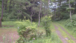 長野県菅平高原 ゆたか山荘 坂上 2026/07/12 08:00