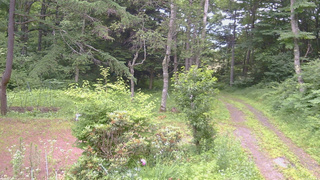 長野県菅平高原 ゆたか山荘 坂上 2026/07/12 08:15
