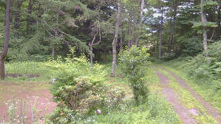 長野県菅平高原 ゆたか山荘 坂上 2026/07/12 09:30