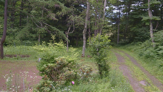 長野県菅平高原 ゆたか山荘 坂上 2026/07/12 10:15