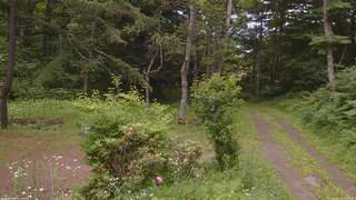 長野県菅平高原 ゆたか山荘 坂上 2026/07/12 12:30