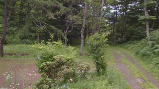長野県菅平高原 ゆたか山荘 坂上 2026/07/12 13:30