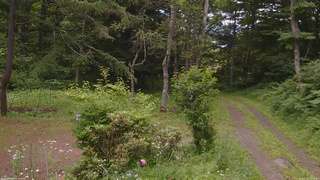 長野県菅平高原 ゆたか山荘 坂上 2026/07/12 15:15