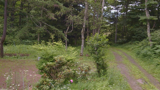 長野県菅平高原 ゆたか山荘 坂上 2026/07/12 15:30