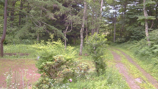 長野県菅平高原 ゆたか山荘 坂上 2026/07/12 15:45