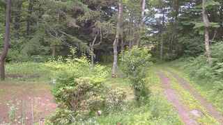 長野県菅平高原 ゆたか山荘 坂上 2026/07/12 16:15