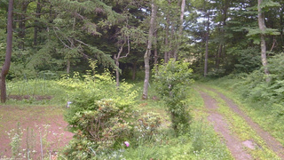 長野県菅平高原 ゆたか山荘 坂上 2026/07/12 16:45