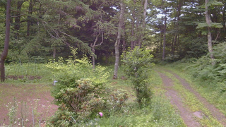 長野県菅平高原 ゆたか山荘 坂上 2026/07/12 17:30