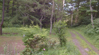 長野県菅平高原 ゆたか山荘 坂上 2026/07/12 17:45